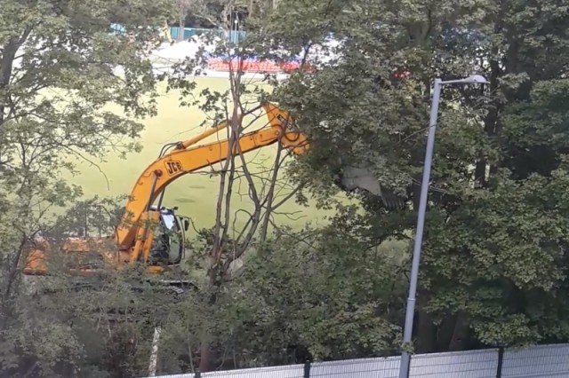 В Южном парке в Калининграде «вырубают» деревья ковшом экскаватора