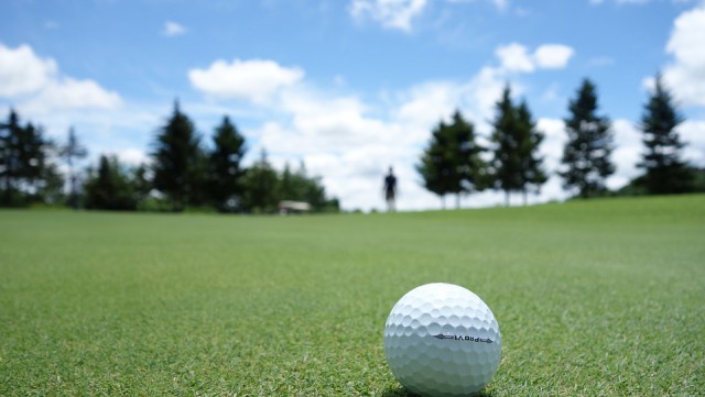 Сбербанк о гольф-клубе под Светлогорском: У нас ещё не было предметного разговора с инвестором