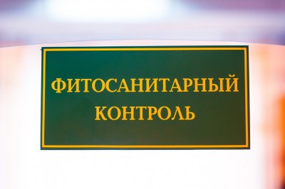 В Калининградскую область не пустили заражённые дендратемы из Нидерландов