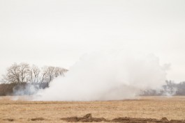 В Багратионовском округе горящая трава угрожала автозаправочной станции