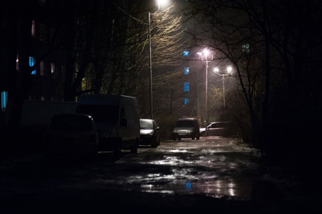 Поваленные штормом деревья в Калининграде повредили шесть автомобилей