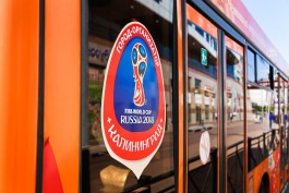 Региональное УФАС приостановило торги по электронному билету в Калининграде