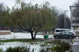 Синоптики обещают тёплую и дождливую рабочую неделю в Калининградской области