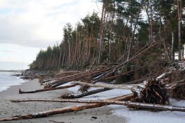 «Защита авандюны и намыв пляжа»: что будут делать для берегоукрепления в Калининградской области