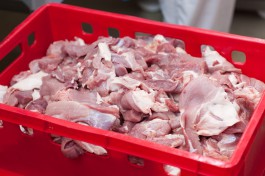 В мае в Калининградскую область ввезли почти десять тысяч тонн мяса из стран Южной Америки и Китая