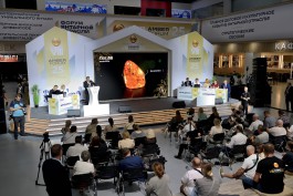 На аукционе Калининградского янтарного комбината продали все инклюзы и редкий каплевидный камень