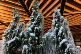 Калининград побил рекорд минимальной температуры за последние 23 года