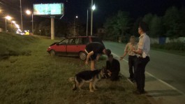 На ул. Невского в Калининграде «Митсубиси» с тремя мужчинами и собакой упал с моста (фото) (фото)