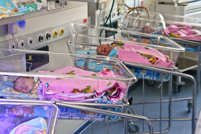Эксперты ожидают самую низкую рождаемость во Владивостоке и Калининграде в 2020 году