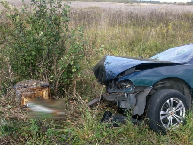 В Гвардейском районе «Митсубиси» врезалась в пень: погиб пассажир  (фото)