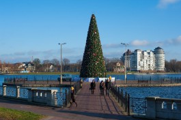 В центре Калининграда установят новогоднюю ёлку с набережной Верхнего озера
