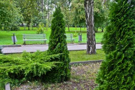 К концу года в парке у «Акрополя» вырубят деревья, уложат новую плитку и установят скамейки (фото)