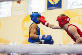 «Без помощи Святого Патрика»: в калининградском турнире по боксу впервые выступили ирландцы (фото)