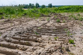 &laquo;Лукойл&raquo; обязали возместить более 21 млн рублей из-за разлива нефтепродуктов в Калининградской области