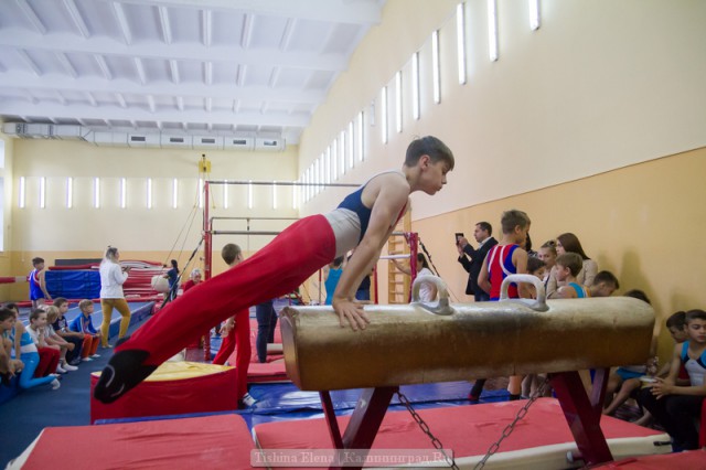 Власти хотят построить в Калининградской области центр для спортивной гимнастики