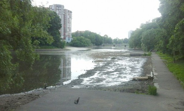 Нижнее озеро в Калининграде снова сильно обмелело