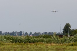 Сербским авиакомпаниям разрешили запустить рейсы в Калининград