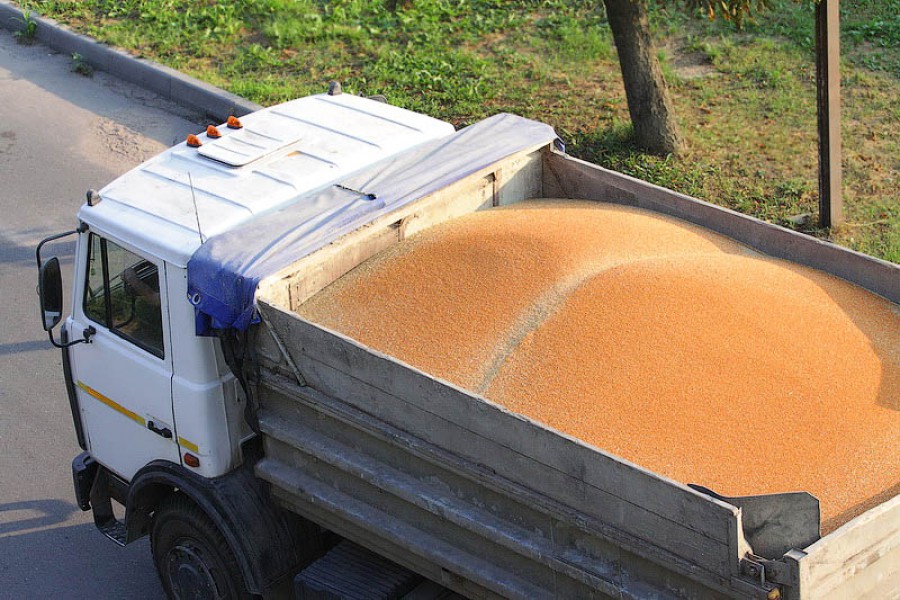 УВД: Летом за незаконную перевозку песка в области задержали 288 грузовиков
