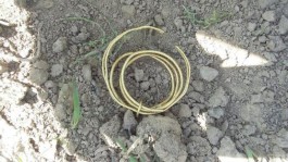 Польский фермер нашёл на поле золотой браслет времён бронзового века (фото)