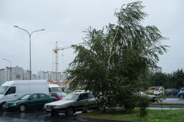 Днём в Калининграде ожидаются ливни, град и усиление ветра до 22 м/с