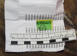 Полицейские обнаружили у двоих калининградцев «марки» с амфетамином