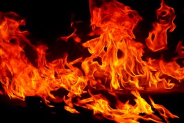 Ночью в Калининграде сгорел «Ягуар»