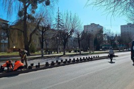 В центре Светлого высадили около тысячи роз