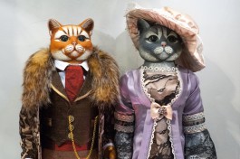 &laquo;Концерты и выставка&raquo;: в Калининграде пройдёт Неделя королевского кота