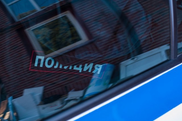 СК: В Калининграде пьяная девушка разбила кирпичом стекло машины и укусила полицейского за ухо