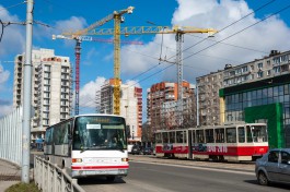 Власти Калининграда подписали постановление о бесплатном проезде во время ЧМ-2018