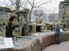 В зоопарке Калининграда пройдёт акция, посвящённая выбору талисмана ЧМ-2018