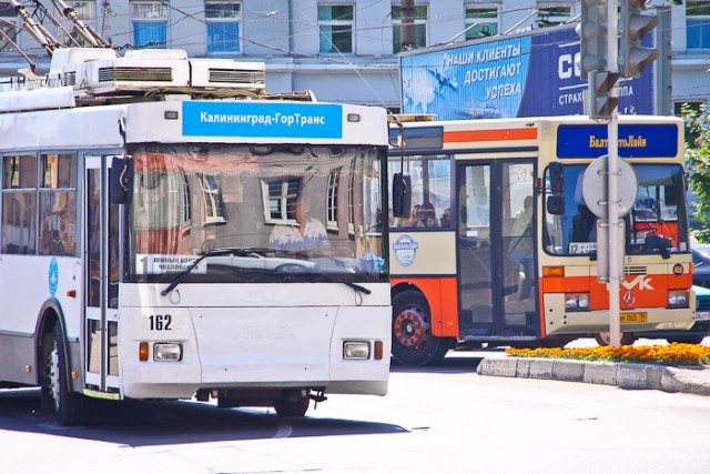 Власти Калининграда продлят работу автобусов на время фестиваля болельщиков