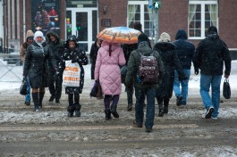 За десять месяцев в Калининградскую область переехали 26,5 тысяч человек
