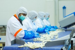 &laquo;Атлантис&raquo; планирует построить под Черняховском завод по производству наггетсов и бургер-котлет