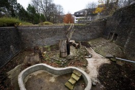 Соколова рассказала, почему Калининградский зоопарк нельзя перенести за пределы города 