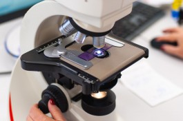 Калининградские учёные собирают данные об эффективности антибиотиков в медучреждениях региона