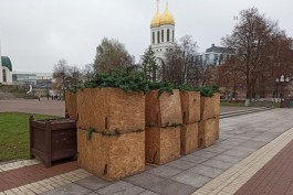 На площади Победы в Калининграде начинают устанавливать новогоднюю ель