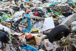Горсовет: На свалке у посёлка Космодемьянского более 30 лет незаконно складировали отходы