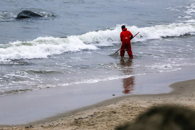 Полицейские задержали двух водолазов за добычу янтаря в Балтийском море