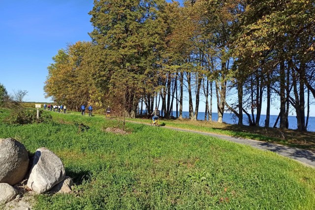 «Инстаграм-маршрут»: чиновники проехали по недостроенной велодорожке вдоль балтийского побережья