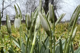 Праздничные выходные в Калининградской области будут солнечными и тёплыми