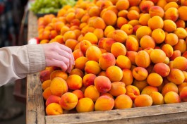 Власти РФ ужесточили правила провоза овощей и фруктов через границу