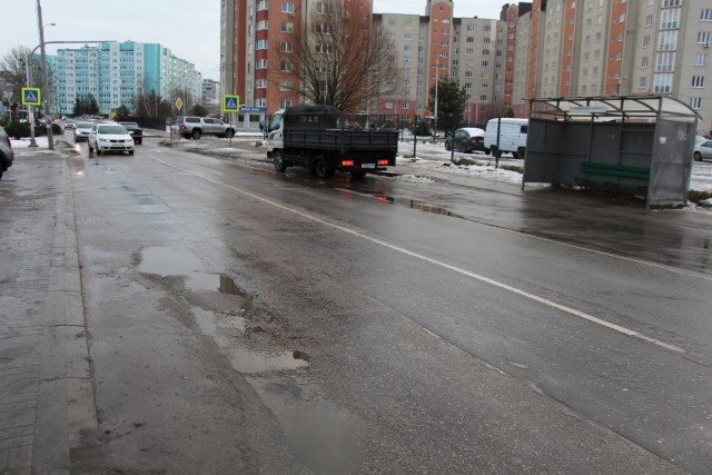 На улице Автомобильной в Калининграде уложат велодорожку из каучука и высадят барбарис