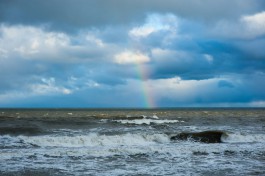 Первые выходные апреля в Калининградской области будут пасмурными и дождливыми