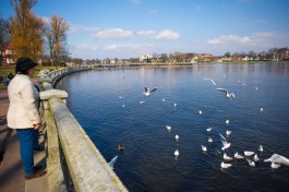К концу рабочей недели в Калининградской области ожидается похолодание до +9°С