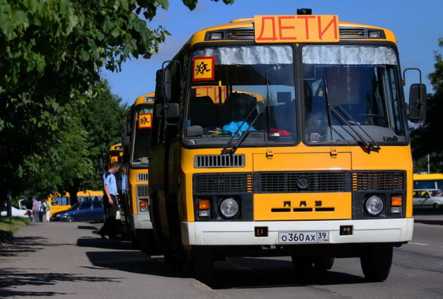 Калининград-Гортранс пустит 10 автобусов вместо трамвая на ул.Тельмана