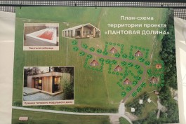 В Калининградской области хотят построить «Пантовую долину»