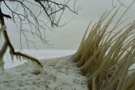Из-за шторма и морозов на побережье Куршской косы образовались ледяные пейзажи (фото)