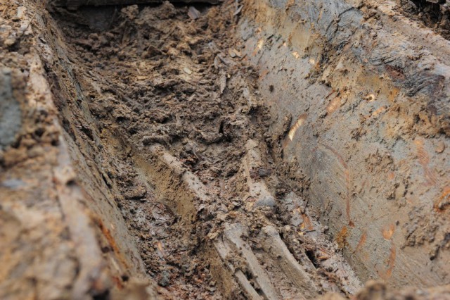 Археологи нашли в Польше тысячелетнюю могилу с обгоревшими скелетами и останками младенцев