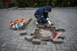 Беспрозванных пообещал запустить новую программу по ремонту тротуаров в Калининграде